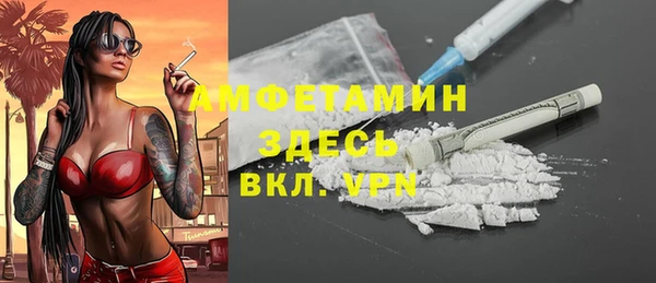 мдпв Елизово