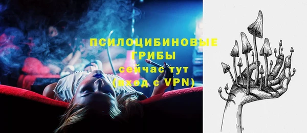 мдпв Елизово