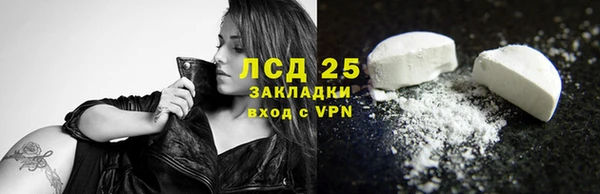 гашик Ельня