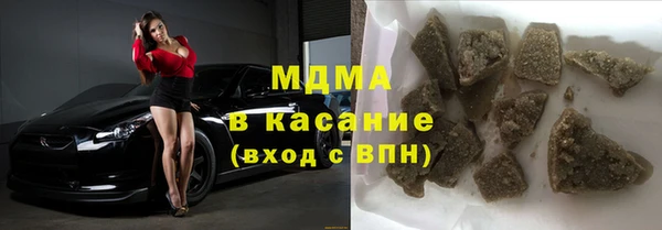 гашик Ельня