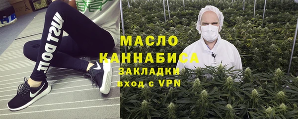 гашик Ельня