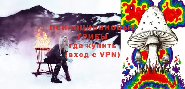 гашик Ельня