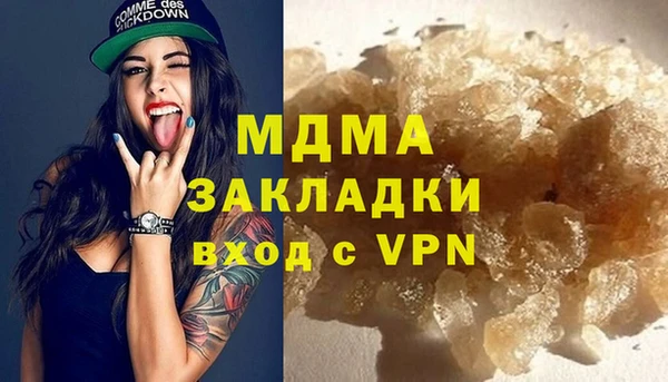 гашик Ельня