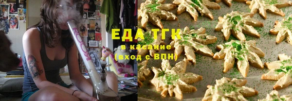 гашик Ельня