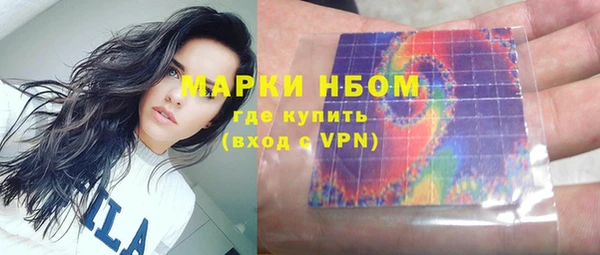 гашик Ельня
