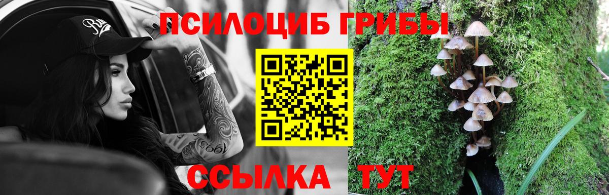 Галлюциногенные грибы GOLDEN TEACHER  Вход с VPN  Реж  Галлюциногенные грибы Cubensis 